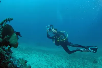 La plongée sous-marine